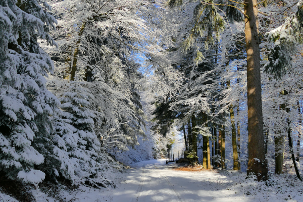 Weihnachten (**/T1) MIT Anmeldung