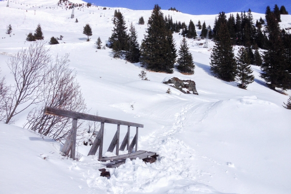 Dans les pas de saint Martin