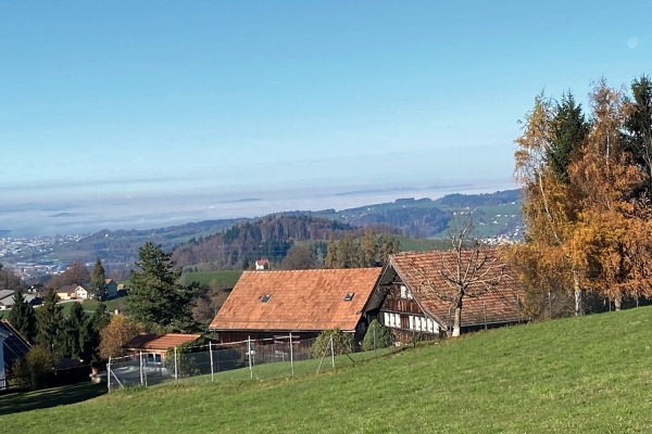 Hügel - Höger - Horizonte