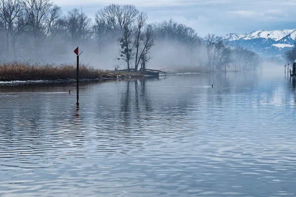 Lagune im Naturparadies Bodensee