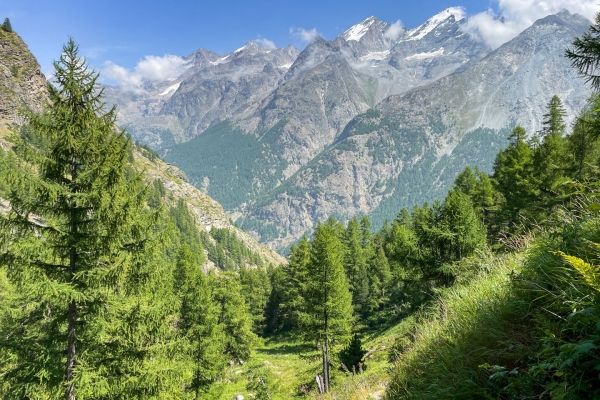 Point de vue au-dessus du Mattertal