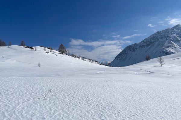 Courte randonnée au col du Simplon