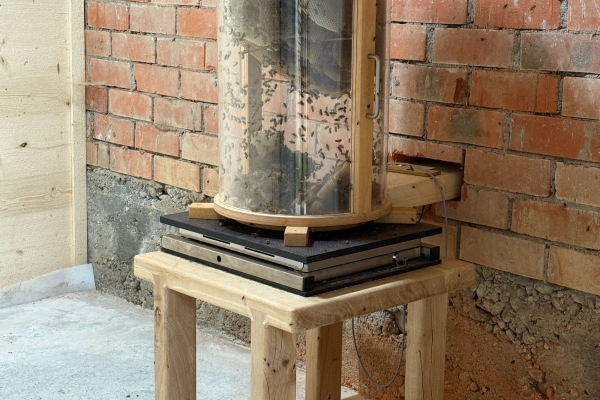 Entdeckungspfad «Honigbiene und Biodiversität»