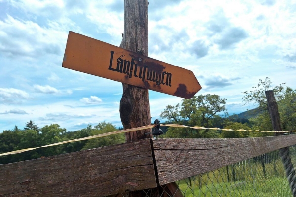 Vom Jura in die Ferne schweifen