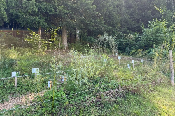 Entdeckungspfad «Honigbiene und Biodiversität»