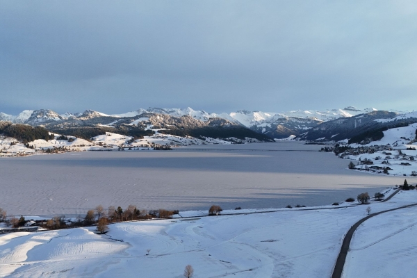 Jahresstart im Haflingerhof