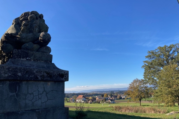 Forêts colorées et roches de molasse