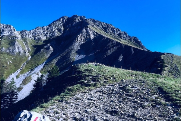 6. La Prestigieuse 08:00