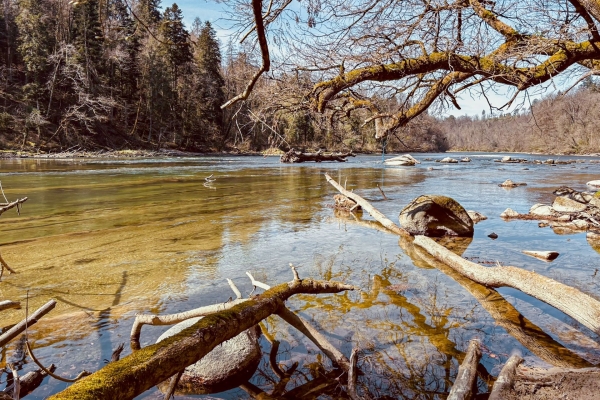 Sulle rive della Reuss immersi nella natura