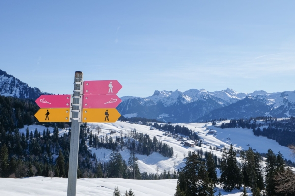 Schneeschuhwandern am Mattstogg