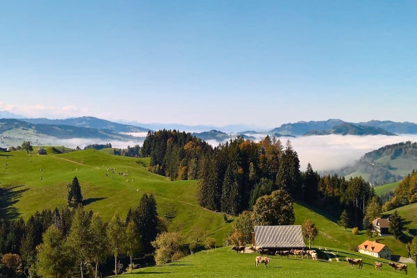 Herbstwanderung über dem Nebel