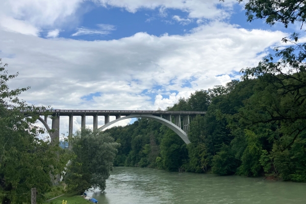 Diverses nuances de vert au bord de l’Aar