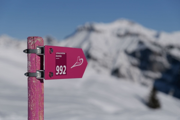 Viel Geologie und sonnige Aussichten ob Elm