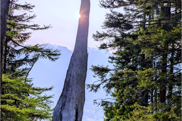 52. Les Cristalliers de Mont Chemin (VS)