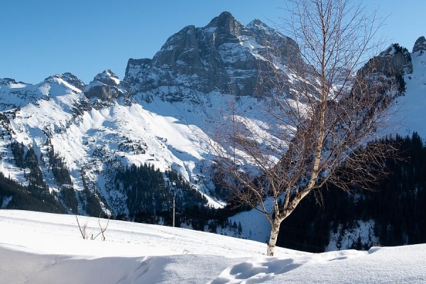 Über den Sinsgäuer Schonegg