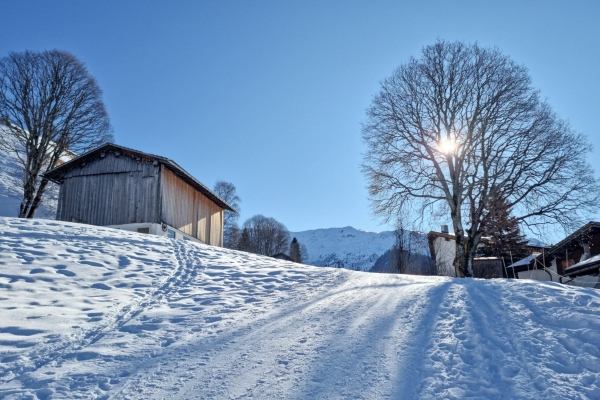 Agréable parcours vers l’auberge Alpenrösli