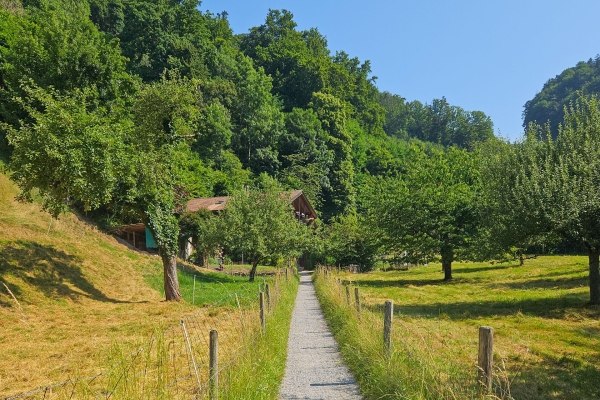 Attraverso la fresca gola di Choleren