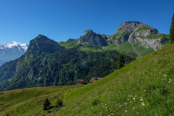 Face au Titlis dans la vallée d’Engelberg