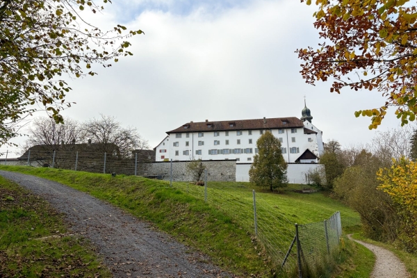 Dans l’Auenschutzpark argovien