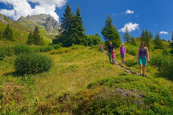 La nature à l’état pur