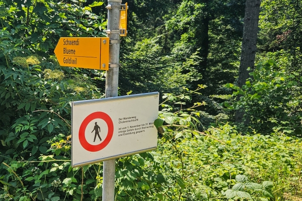 La fraîcheur des gorges de Choleren