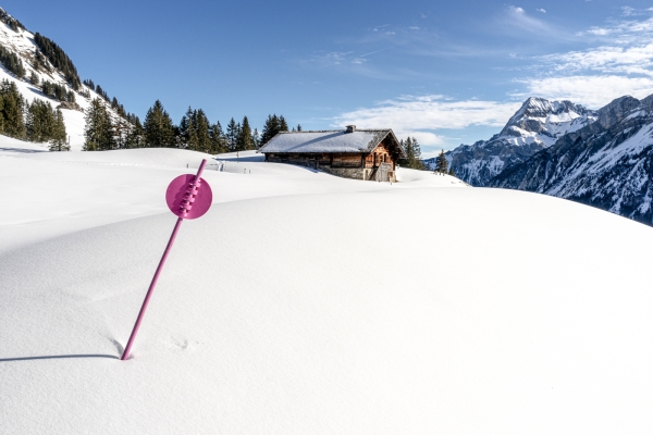 Bain de soleil devant l’ombre des Diablerets
