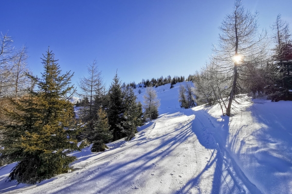 Sur le Domleschg enneigé