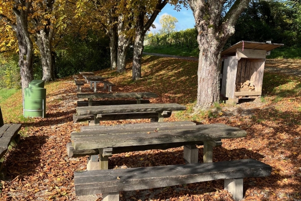 Herbstliche Klettgauer Rebberge