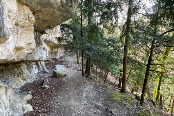 Immersion dans la nature neuchâteloise
