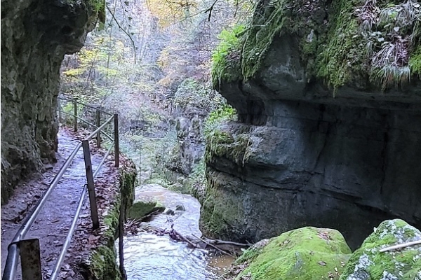 37. A la recherche de la fraîcheur... (NE)