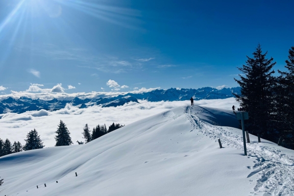 Panorama Schneeschuhwanderung über Spilmettlen und Hochstuckli SZ