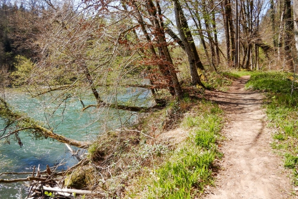 Sulle rive della Reuss immersi nella natura