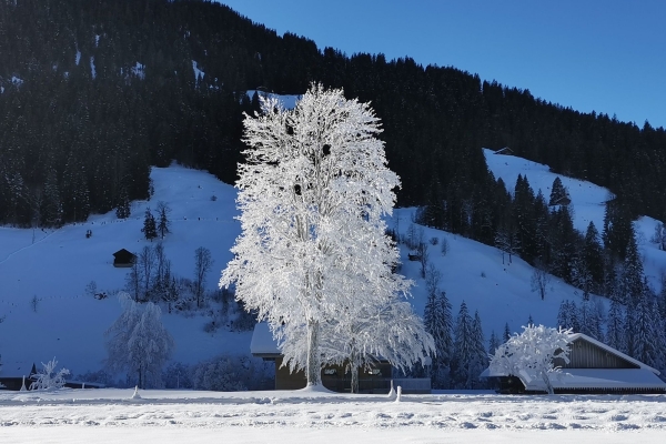 Randonnée à plat jusqu’aux chutes de la Simme
