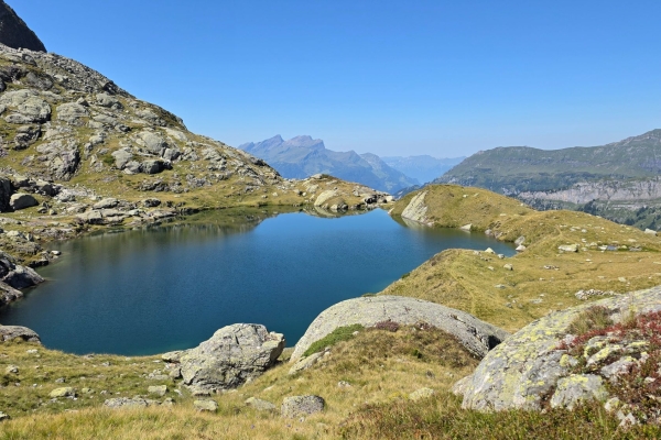 Goldvreneli am Gadenlouwisee