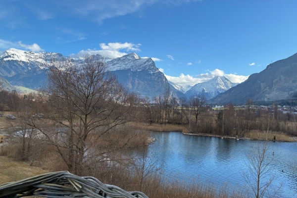 Festival der Natur - Natur erleben im Urner Reussdelta