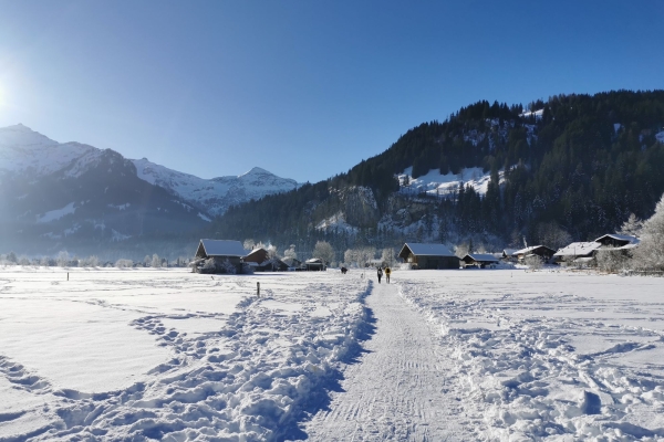 Ohne Steigung zu den Simmenfällen