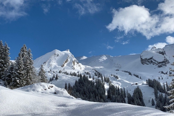 Einlauftour Schneeschuhwandern