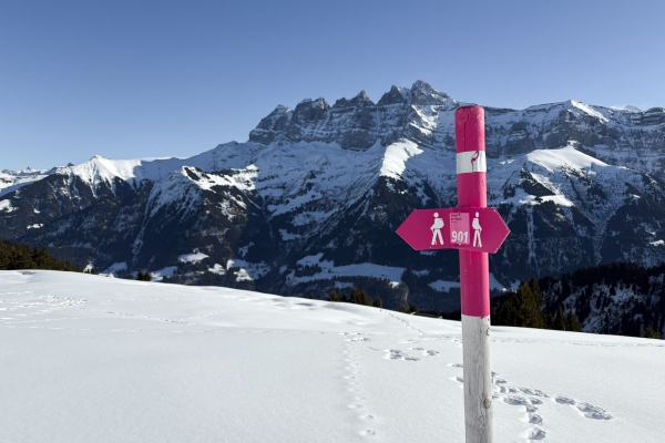 Quiétude et beau panorama dans le Val d’Illiez