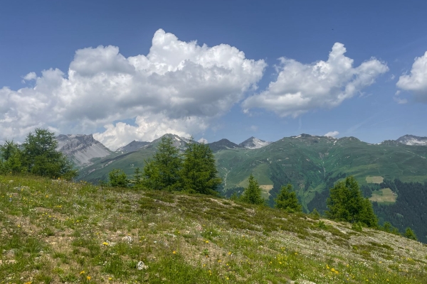 Circuit de randonnée sur le Rinerhorn