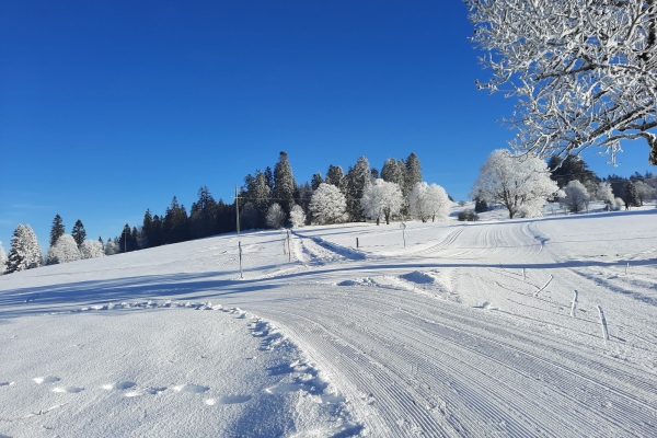 La Sagne (1. Durchführung)