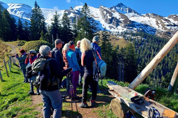 Morgenkonzert der Bergvögel (Vogelexkursion)