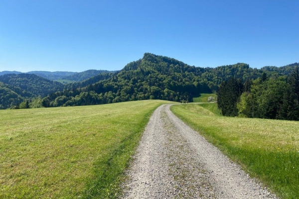 Zum höchsten Punkt im Kanton Thurgau