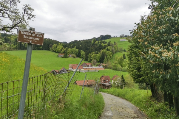 Entraînement dans l’avant-pays appenzellois 