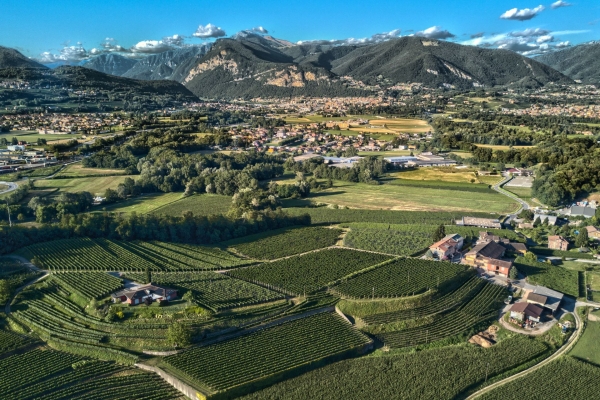 Lungo il confine sud del Ticino