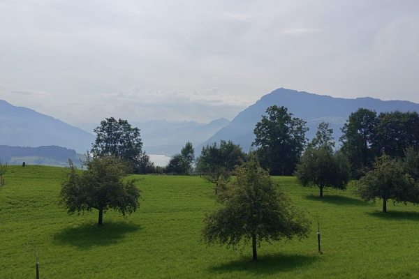 Von Rotkreuz nach Adligenswil