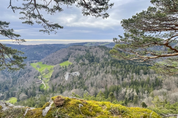 Le secret du Doubs à Goumois