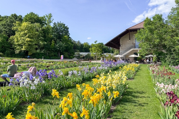 Sentiero in fiore al canale di St. Alban