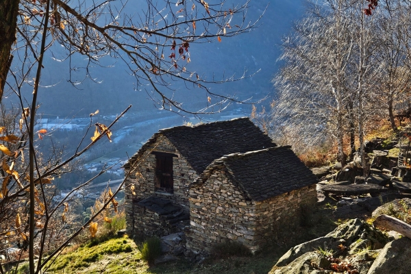 Sentore di primavera sopra le Terre di Pedemonte.