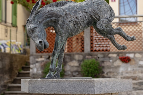 Üppiger Wald und ein Wasserfall im Malcantone
