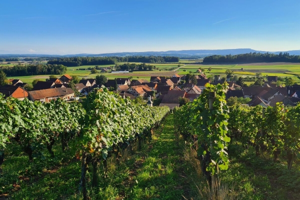 Jahresschlusswanderung: Von Langwiesen nach Rudolfingen